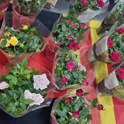 250426 Sant Jordi_resultado